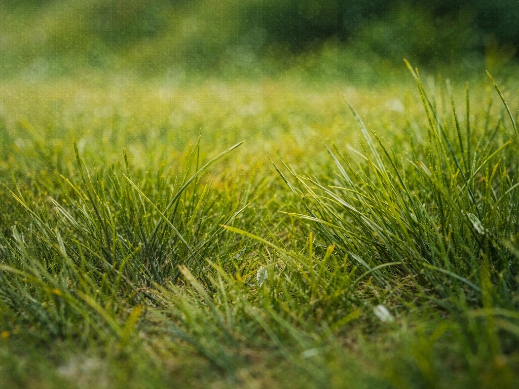 Gros plan d’herbe peinte avec brossage à sec, brins et touffes en couches, avec profondeur premier plan/arrière-plan.